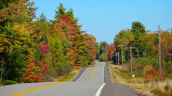 Scenic asphalt road running up and down and through the colorful deciduous trees changing their leaves in the sunny fall. Autumn landscape surrounding the empty rural path going over rolling hills.