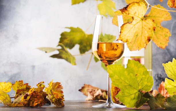 glace de vin blanc et bouteille de vin dans la vue de près vers le haut des verres de vin au-dessus du fond gris abstrait avec l'espace de copie - gewurztraminer photos et images de collection