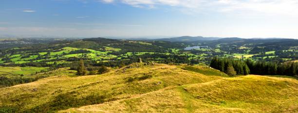 światło słoneczne na zielonych polach uprawnych - langdale pikes panoramic english lake district cumbria zdjęcia i obrazy z banku zdjęć