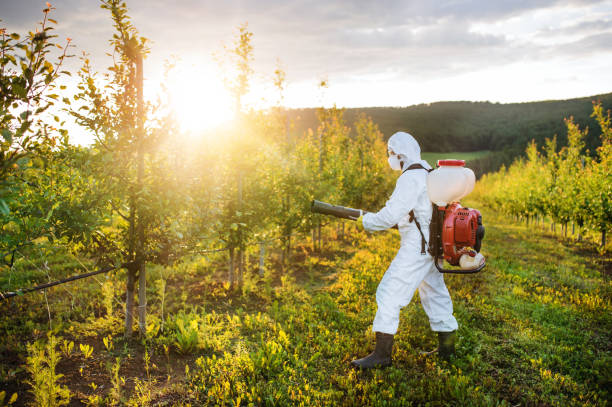 A farmer outdoors in orchard at sunset, using pesticide chemicals. A farmer in protective suit walking outdoors in orchard at sunset, using pesticide chemicals. apply fertilizer stock pictures, royalty-free photos & images