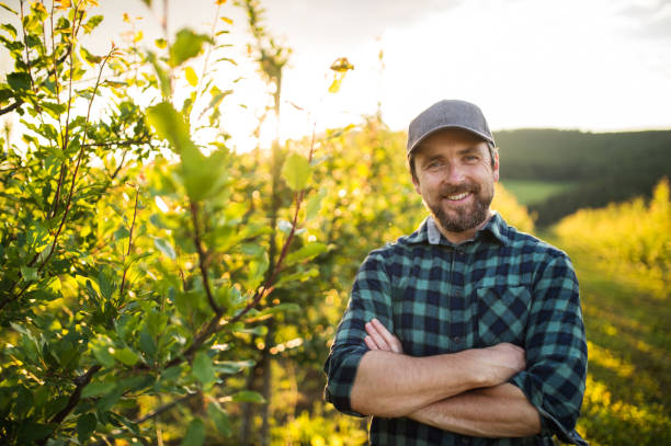istock A front view of mature farmer standing in orchard at sunset. Copy space. 1182251207