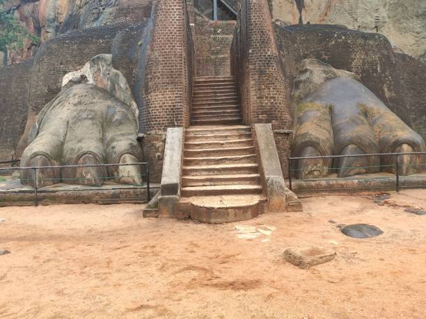 istock Lion's Paw Stairs 1182253328