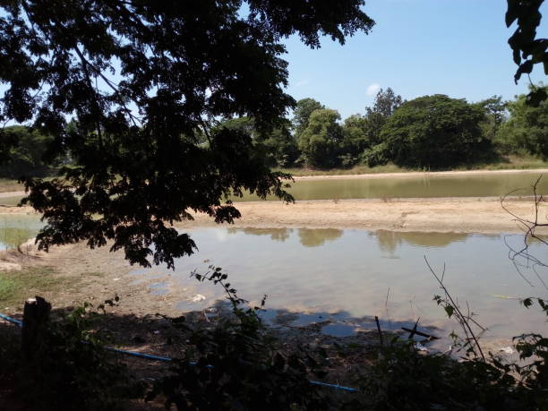 istock Pond in dry season 1182253546