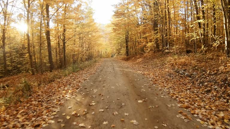 Autumn road in the White Mountains of New Hampshire