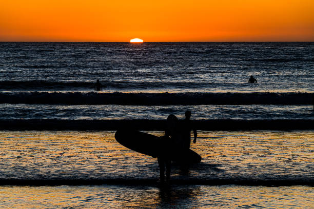 istock Surfers Wading into the Surf 1182254725