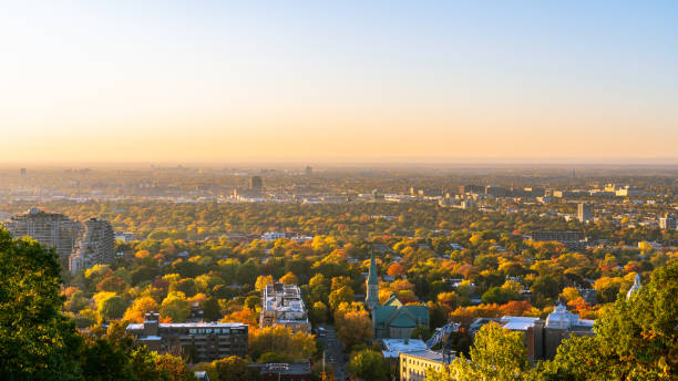 istock Colorful autumn in the city just before sunset 1182256535
