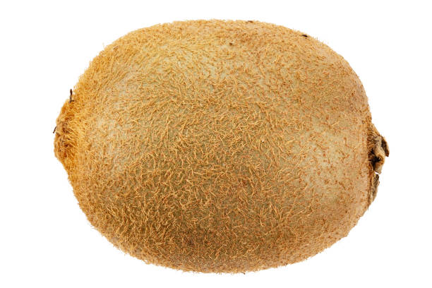 istock Whole kiwi fruit isolated on white background. Clipping Path. 1182261062