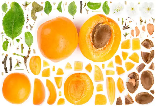 Large collection of apricot fruit pieces, slices and leaves isolated on white background. Top view. Seamless abstract pattern.