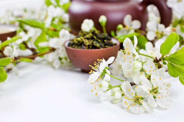 té verde seco y tetera de arcilla con ramas de manzano en flor - green tea cherry blossom china cup fotografías e imágenes de stock