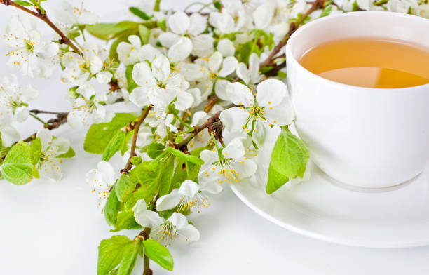 istock Green tea in a ceramic cup with branches of blossoming apple tree 1182265701