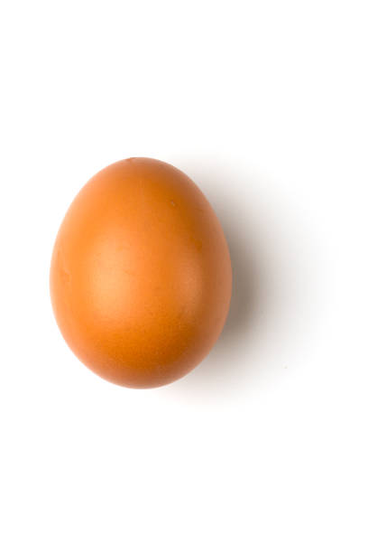 istock Brown egg isolated on a white background. The egg casts a shadow to the right. 1182266827