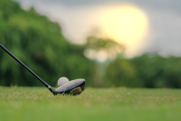istock Playing golf preparing to shot man putting on green 1182268299