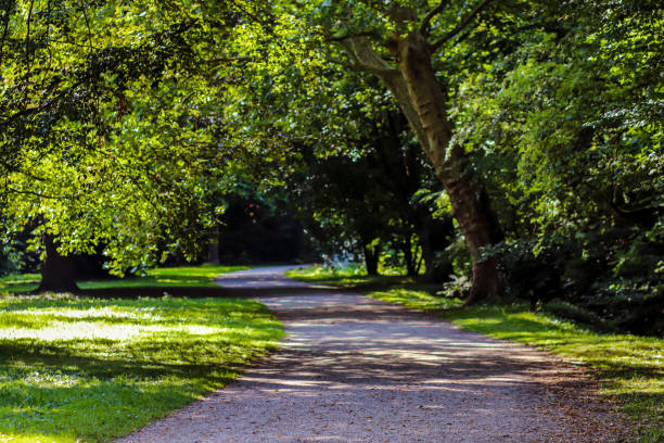 istock pfulpark garden 1182268388