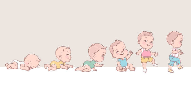 мальчик в ряду. масштаб развития ребенка. - steps baby standing walking stock illustrations