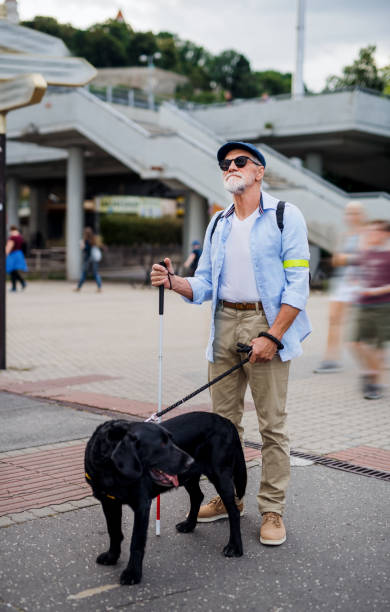 istock Senior blind man with guide dog standing outdoors in city. 1182271073
