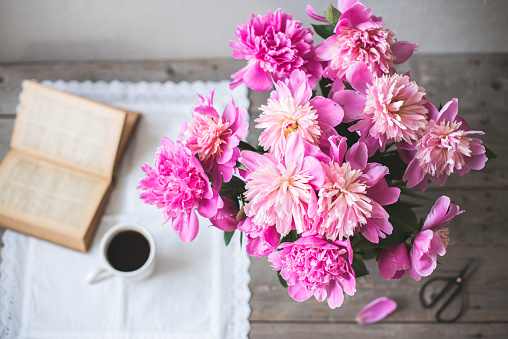 Bouquet of fresh pink peonies in a white enameled jug, old book and cup of coffee on gray wooden background