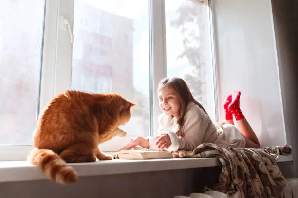 Photo of Little girl in warm terry robe lying on window sill and reading a book. Winter weekend with cat at home.