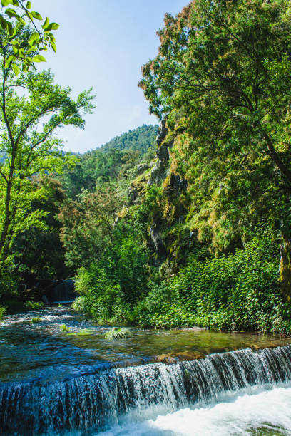 istock a rolling on a mountain river on a summer sunny day 1182277627
