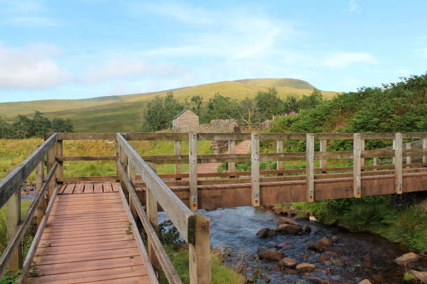 ponte de madeira do pé sobre o córrego em brecon beacons, gales do sul - wales brecon beacons bridge footpath - fotografias e filmes do acervo