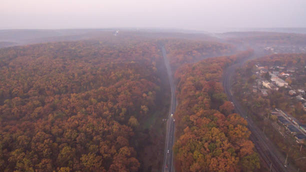 istock Autumn forest aerial view at sunset. 1182284846