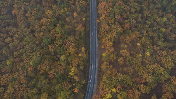 istock Autumn forest aerial view at sunset. 1182285115