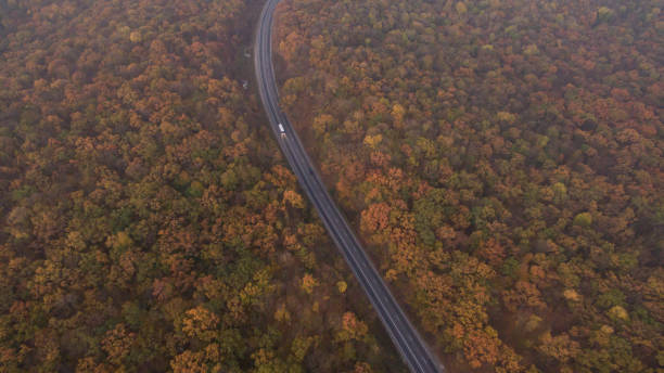 istock Autumn forest aerial view at sunset. 1182287763