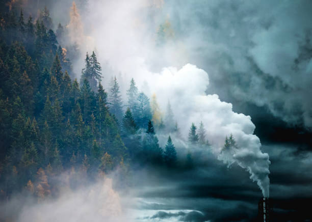 factory smoke covering pine forest double exposure global warming climate change