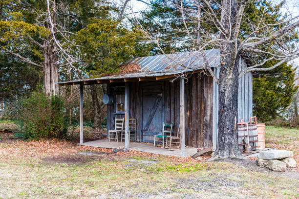 istock Shack in the Woods 1182288632
