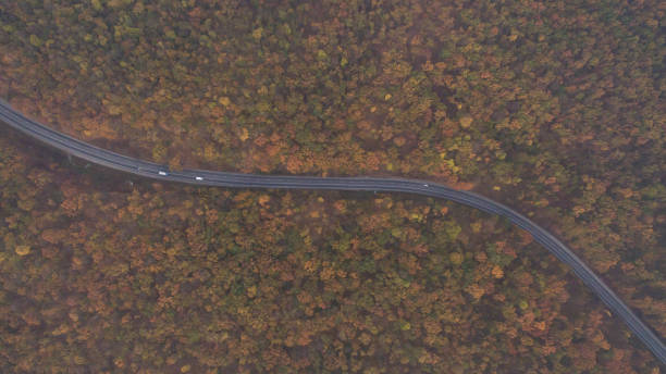 istock Autumn forest aerial view at sunset. 1182288657