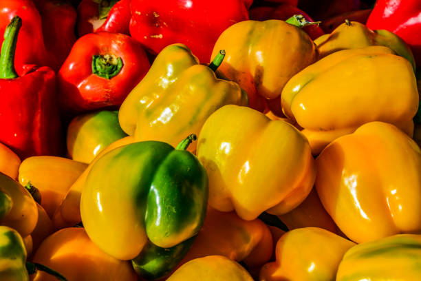 A group of red and yellow peppers in a bin at the market.