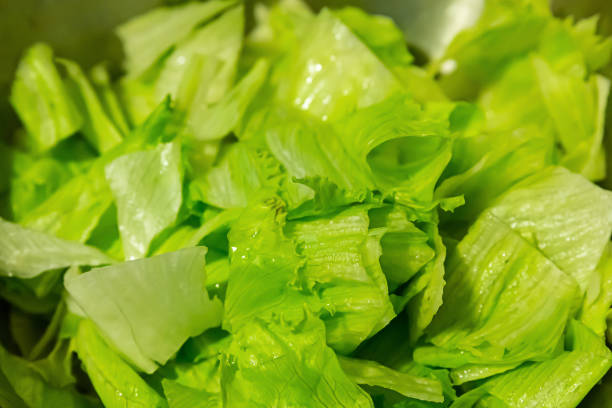 pattern green leaves lettuce leaf, background vegetable fresh design, natural products