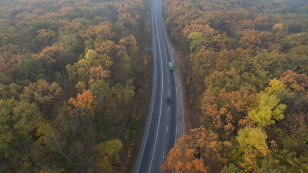 istock Autumn forest aerial view at sunset. 1182289969
