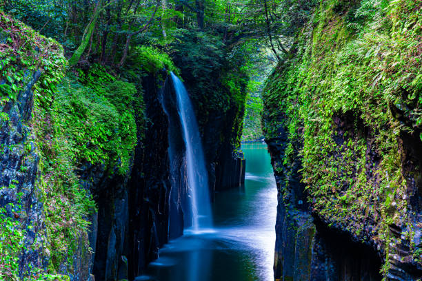 wasserfall im wald, takachiho, miyazaki - spring waterfall japan landscape stock-fotos und bilder