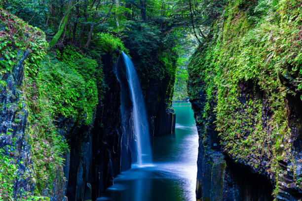 waterfall in forest, Takachiho, Miyazaki