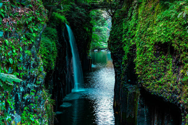 istock waterfall in forest, Takachiho, Miyazaki 1182291346