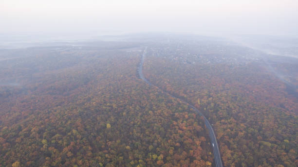 istock Autumn forest aerial view at sunset. 1182291513