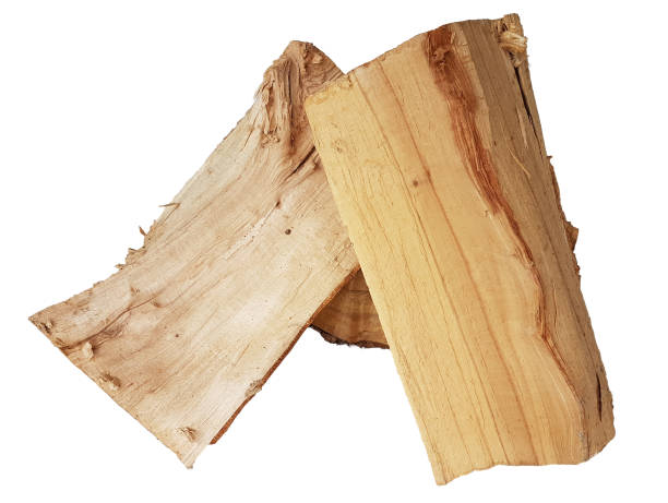 istock woods for fireplace chopped isolated in white background 1182291725
