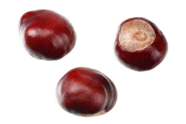 istock chestnuts isolated on white background. top view 1182291768