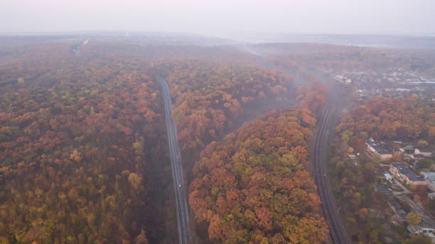 istock Autumn forest aerial view at sunset. 1182292647