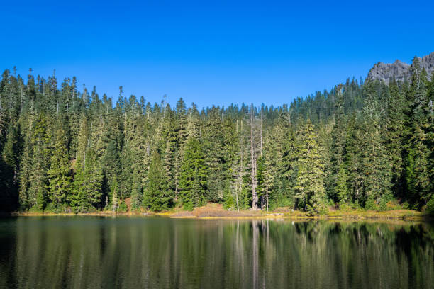 istock Lake Christine In The Glacier View Wilderness 1182293028