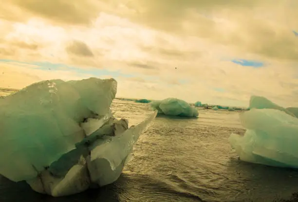 Photo of Picture from Jökulsárlón