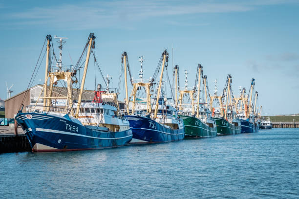 lineup of docked fishing boats in the old port of oudeschild. - oudeschild imagens e fotografias de stock