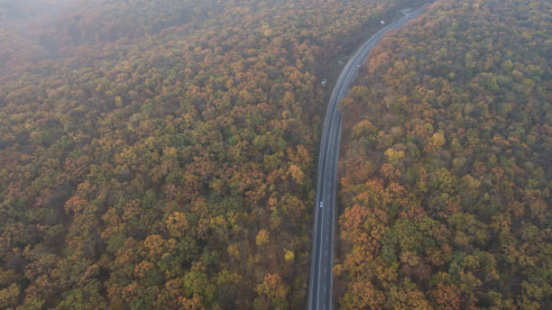 istock Autumn forest aerial view at sunset. 1182295357