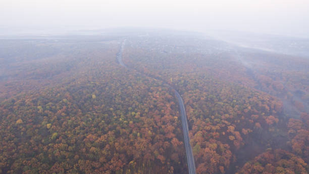 istock Autumn forest aerial view at sunset. 1182295456