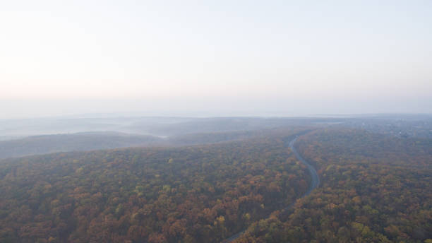 istock Autumn forest aerial view at sunset. 1182297093