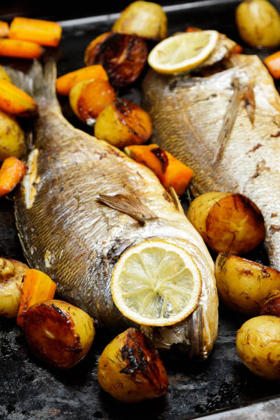 istock Baked Dorado fish with vegetables 1182299047