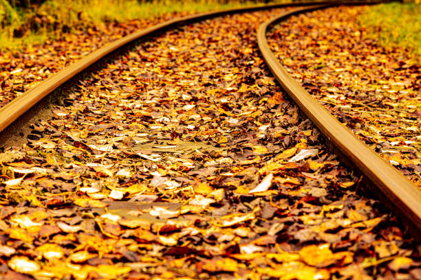 istock colors of changing seasons 1182300744