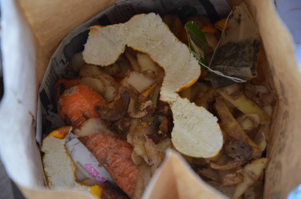 istock Kitchen food waste collected for composting 1182301661