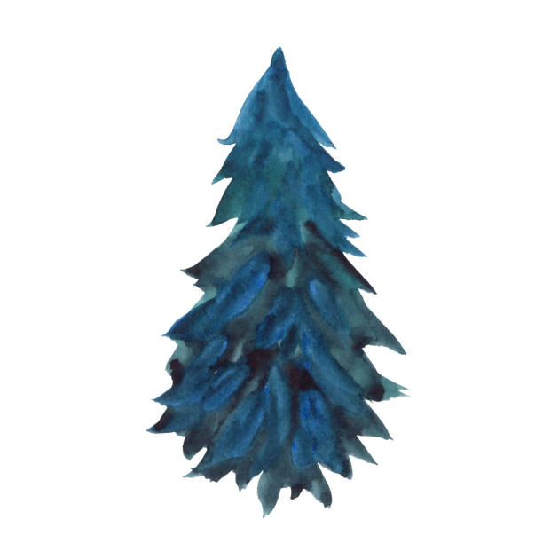istock Watercolor drawing of a green Christmas tree 1182302737