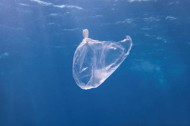 istock Plastic bag floating in the blue sea water. World ocean contaminated by  plastic. Environment pollution concept. 1182303868
